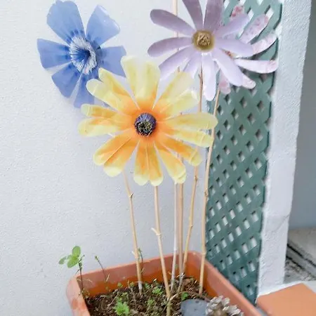 Апартаменты Pardela