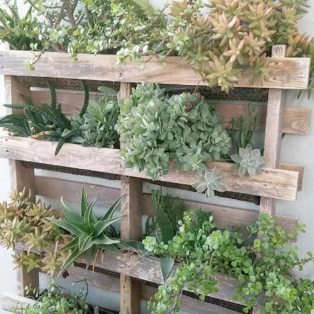 Pardela Апартаменты Адехе