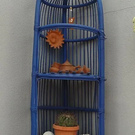 Pardela * Адехе