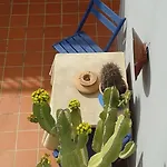 Pardela Apartment Costa Adeje (Tenerife)