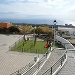 Pardela * أذيخي