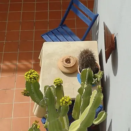 Pardela Apartment Costa Adeje (Tenerife)
