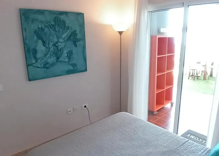 Pardela * Costa Adeje (Tenerife)