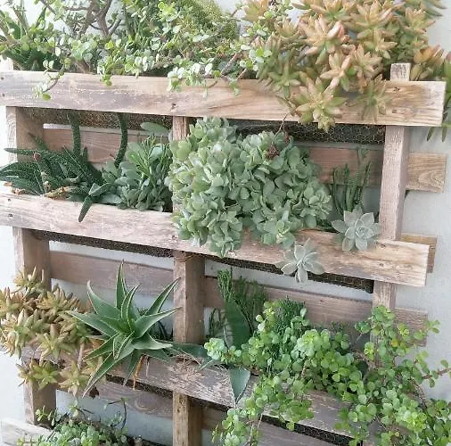 Pardela Apartamento Costa Adeje (Tenerife)