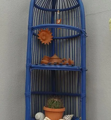 Pardela * Costa Adeje (Tenerife)