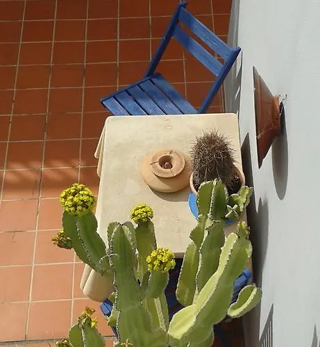 Pardela Apartamento Costa Adeje (Tenerife)