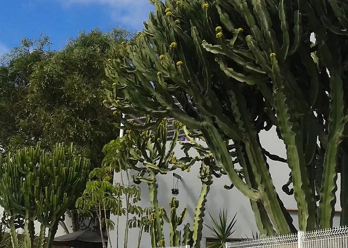 Pardela Apartamento *