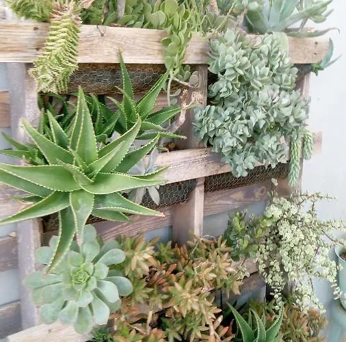 Апартаменти Pardela Адехе